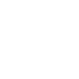 Visit