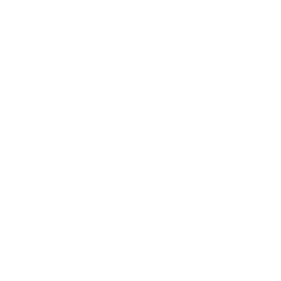 Customer Focus