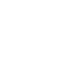 Mold